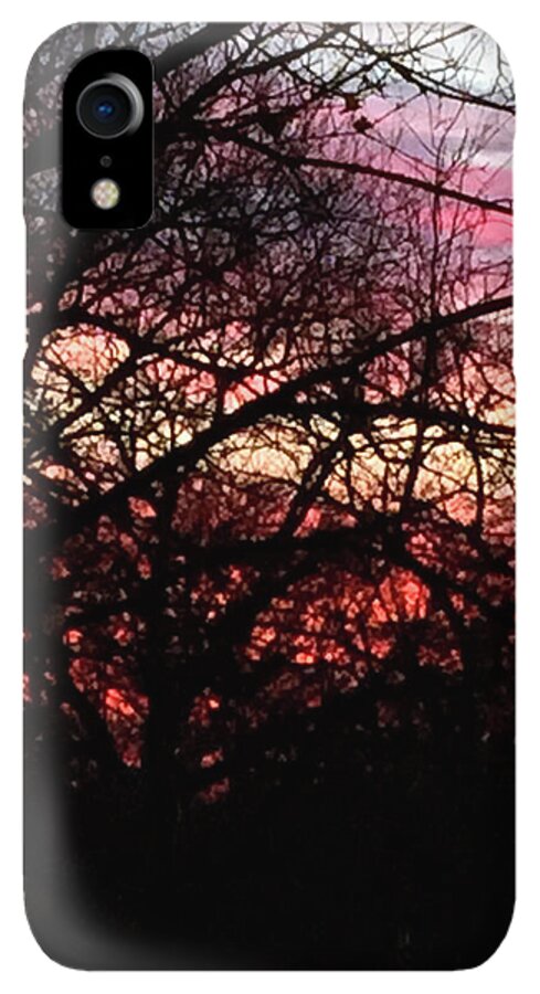 Sunset Through The Trees - Phone Case