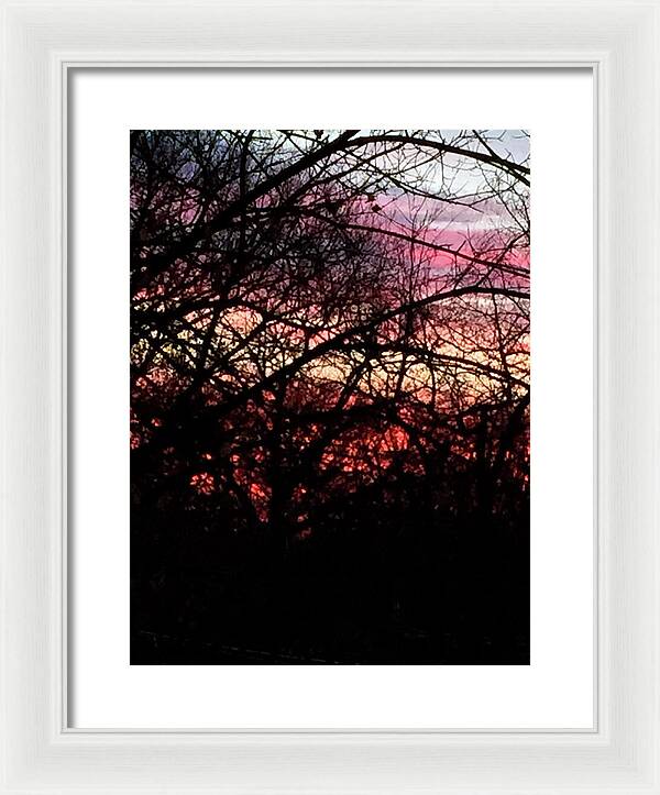 Sunset Through The Trees - Framed Print