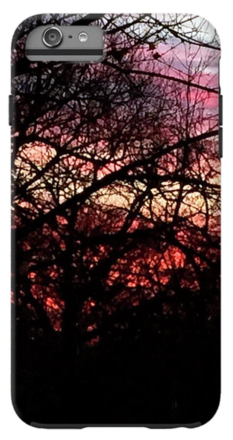 Sunset Through The Trees - Phone Case