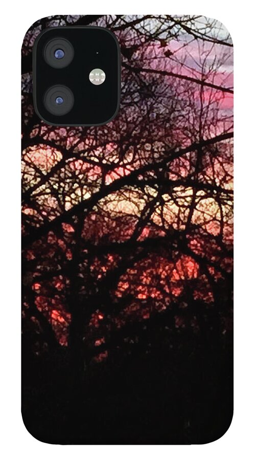 Sunset Through The Trees - Phone Case