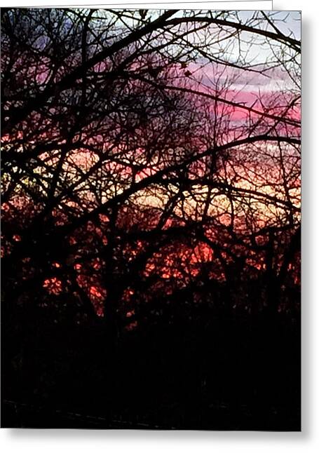 Sunset Through The Trees - Greeting Card