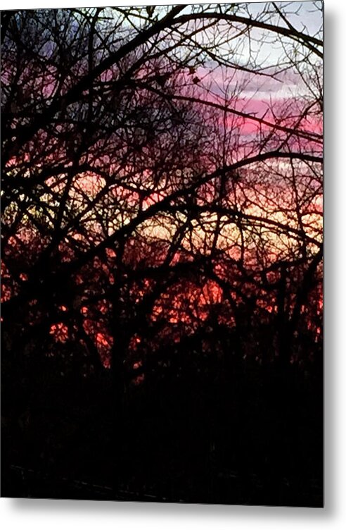 Sunset Through The Trees - Metal Print