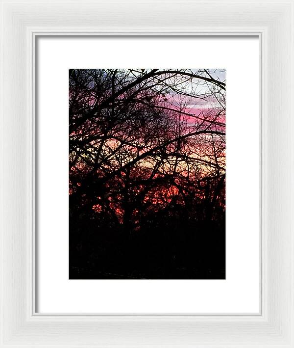 Sunset Through The Trees - Framed Print