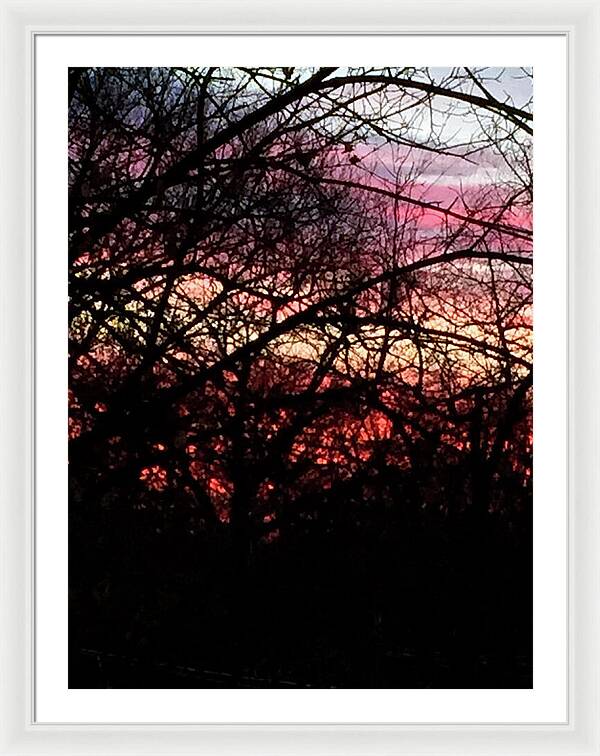 Sunset Through The Trees - Framed Print