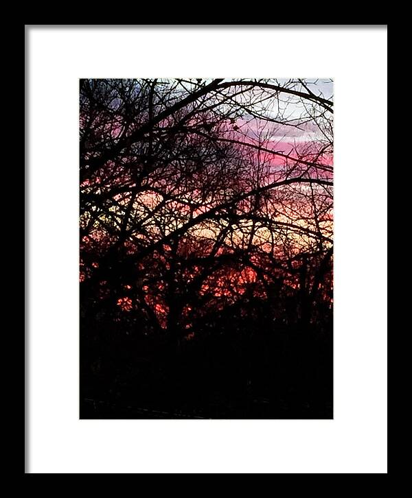 Sunset Through The Trees - Framed Print