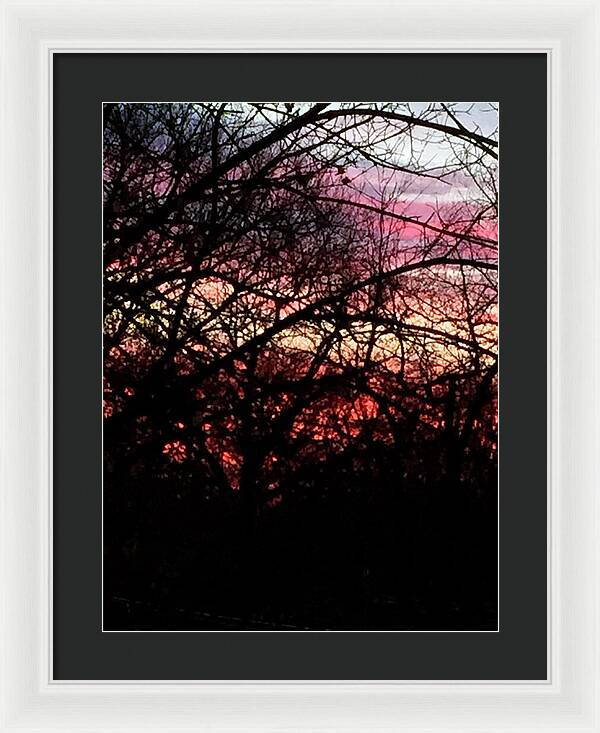 Sunset Through The Trees - Framed Print