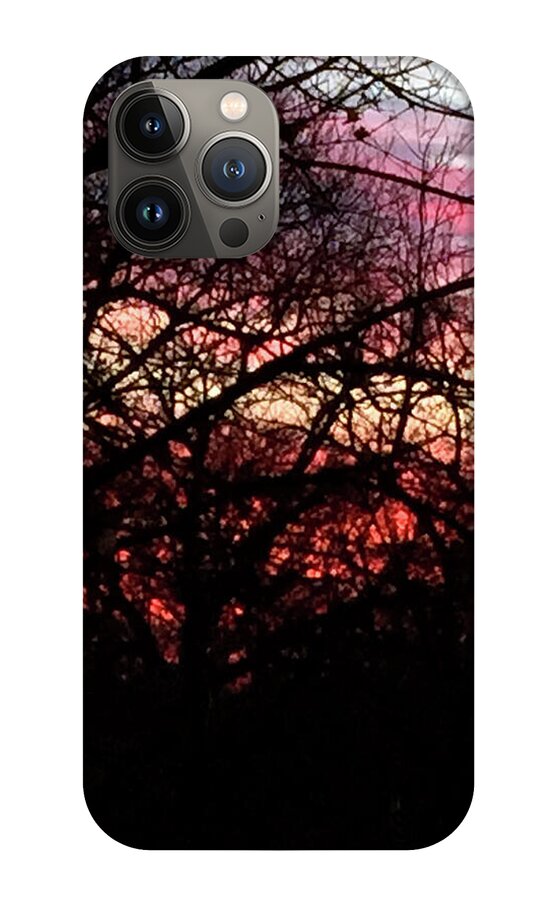 Sunset Through The Trees - Phone Case