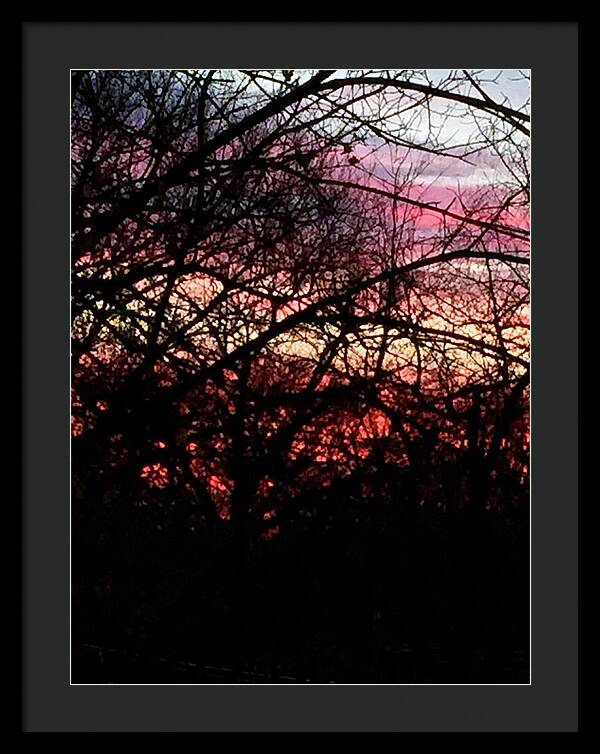 Sunset Through The Trees - Framed Print