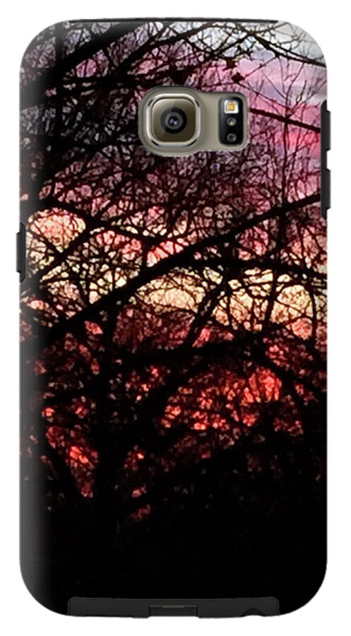 Sunset Through The Trees - Phone Case