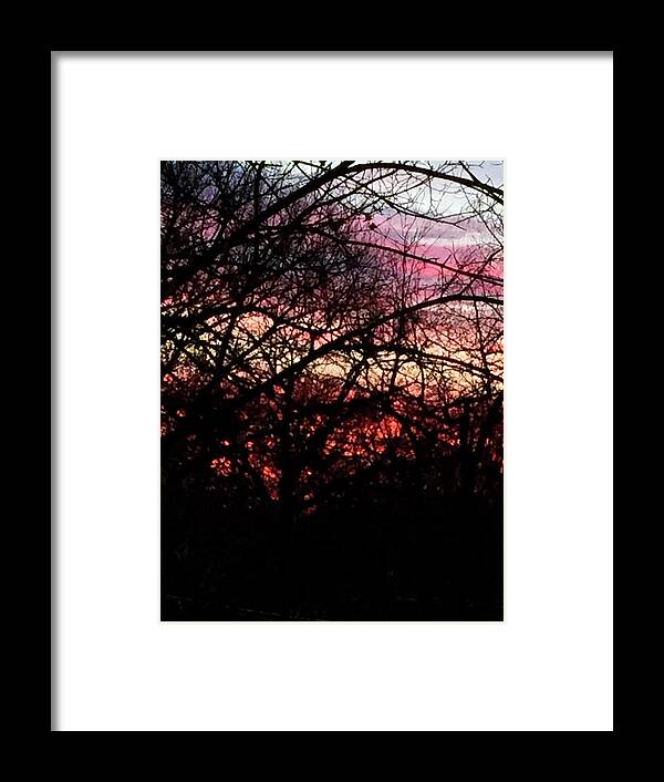 Sunset Through The Trees - Framed Print