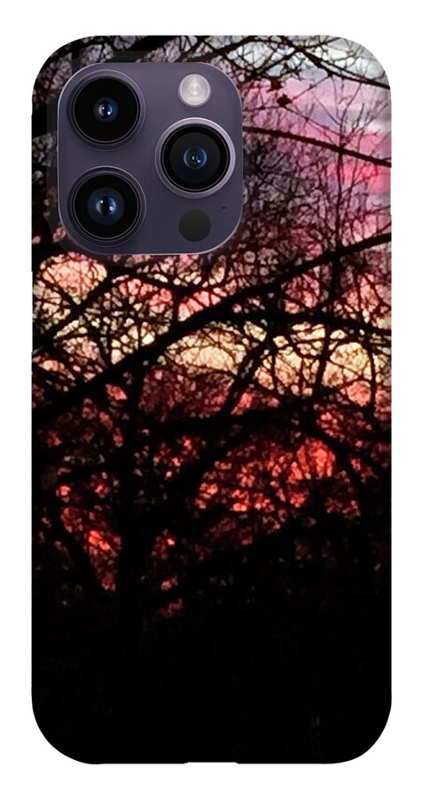 Sunset Through The Trees - Phone Case