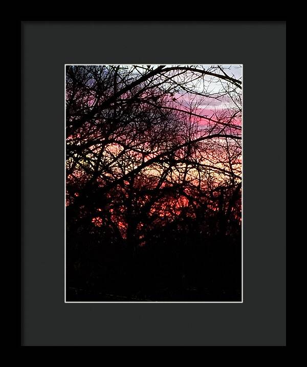 Sunset Through The Trees - Framed Print