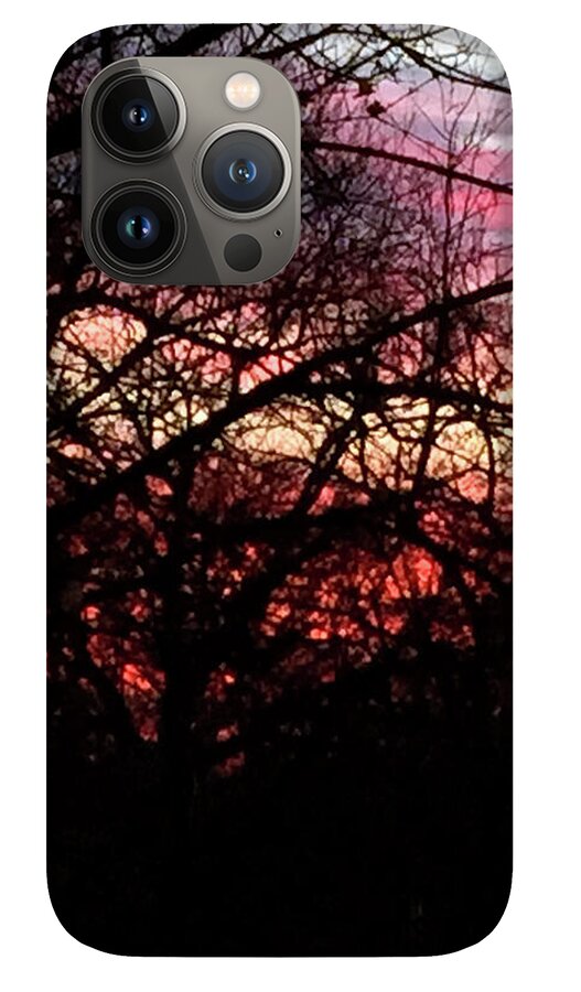 Sunset Through The Trees - Phone Case