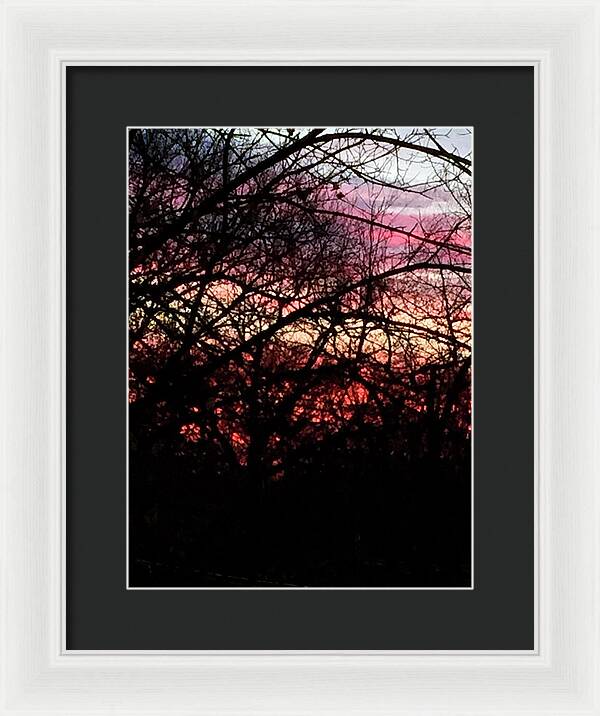 Sunset Through The Trees - Framed Print