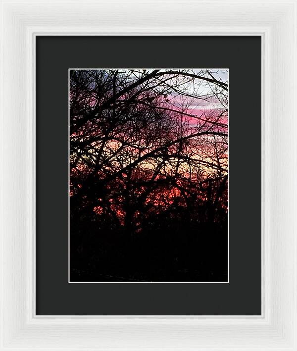 Sunset Through The Trees - Framed Print