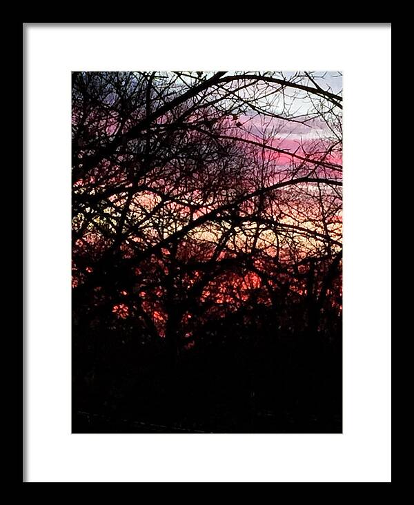 Sunset Through The Trees - Framed Print