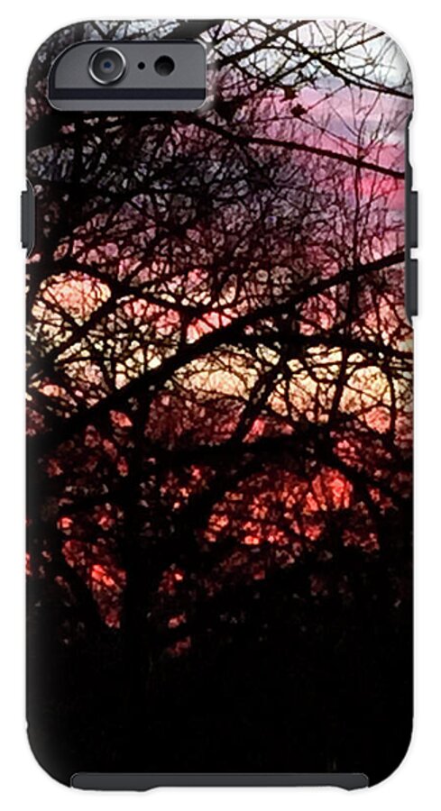 Sunset Through The Trees - Phone Case