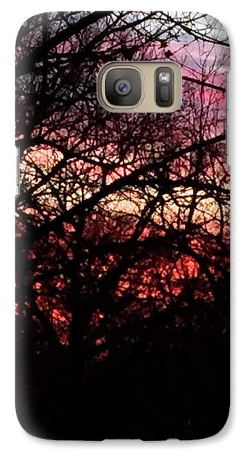 Sunset Through The Trees - Phone Case