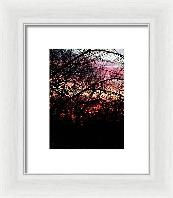 Sunset Through The Trees - Framed Print