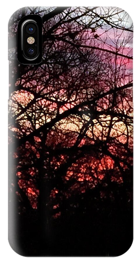 Sunset Through The Trees - Phone Case