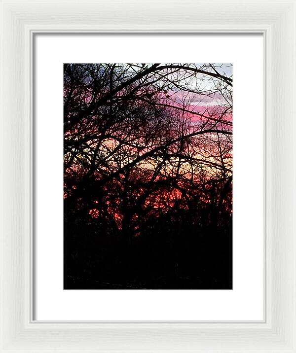 Sunset Through The Trees - Framed Print