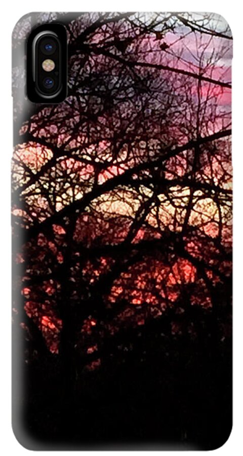 Sunset Through The Trees - Phone Case