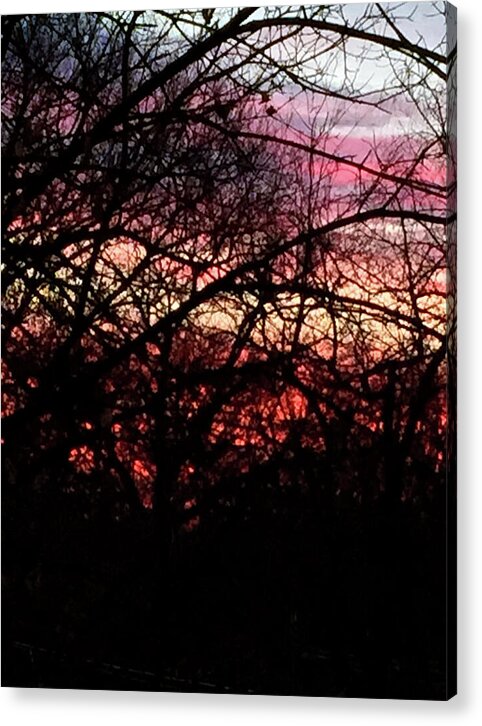 Sunset Through The Trees - Acrylic Print