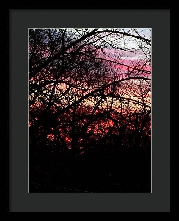 Sunset Through The Trees - Framed Print