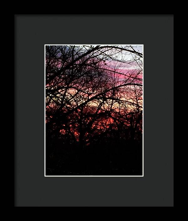 Sunset Through The Trees - Framed Print