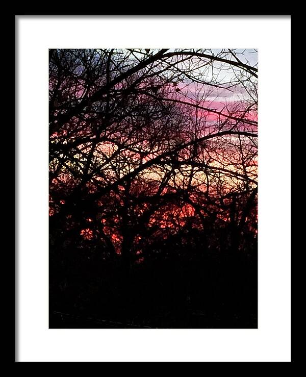 Sunset Through The Trees - Framed Print