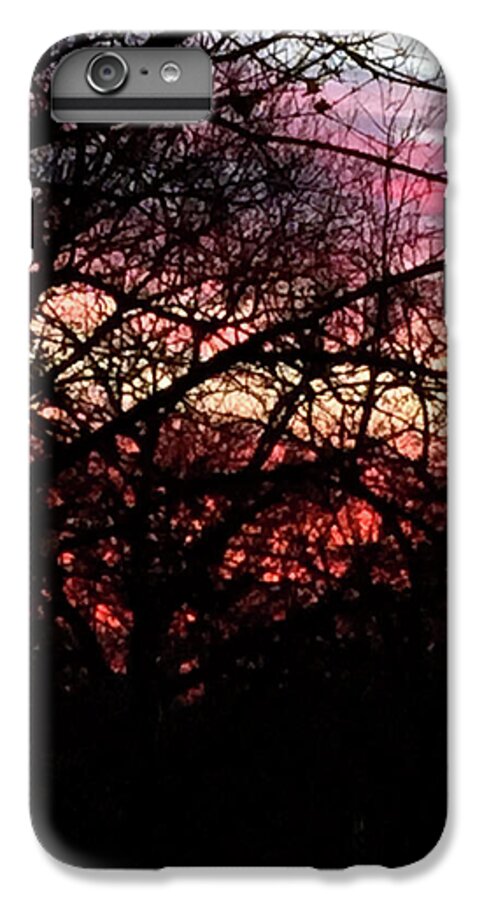 Sunset Through The Trees - Phone Case