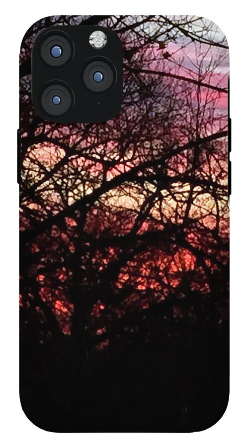 Sunset Through The Trees - Phone Case