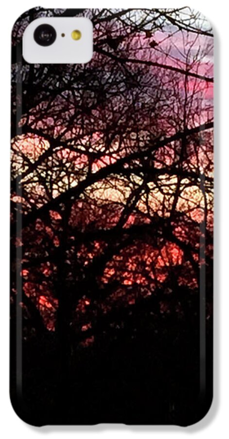 Sunset Through The Trees - Phone Case