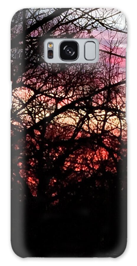 Sunset Through The Trees - Phone Case