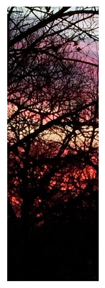 Sunset Through The Trees - Yoga Mat