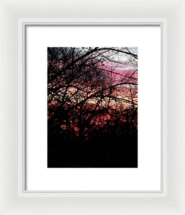 Sunset Through The Trees - Framed Print