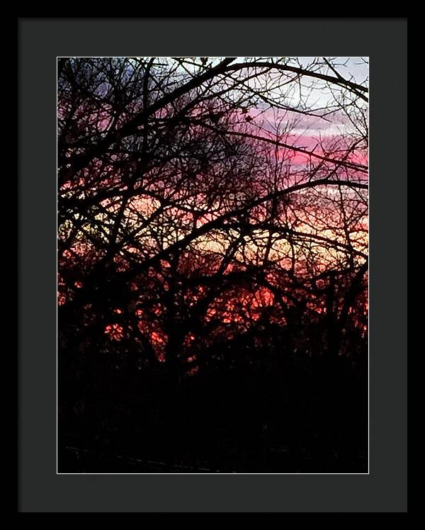 Sunset Through The Trees - Framed Print