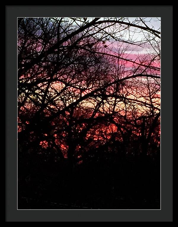 Sunset Through The Trees - Framed Print