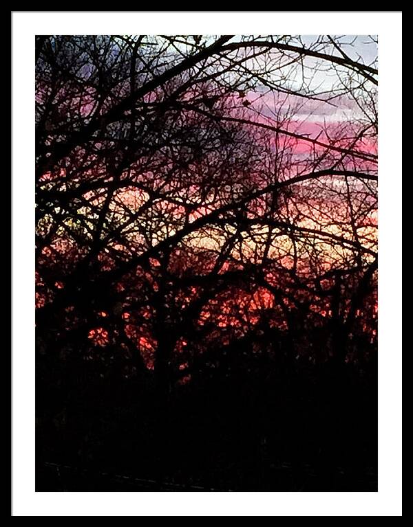 Sunset Through The Trees - Framed Print