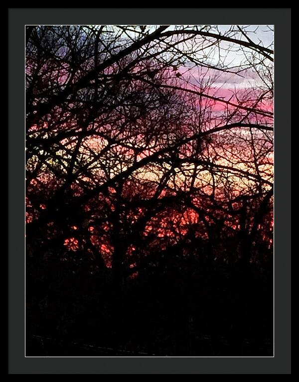 Sunset Through The Trees - Framed Print