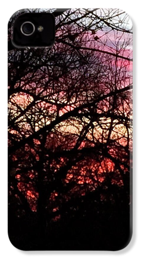 Sunset Through The Trees - Phone Case