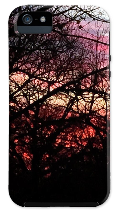 Sunset Through The Trees - Phone Case