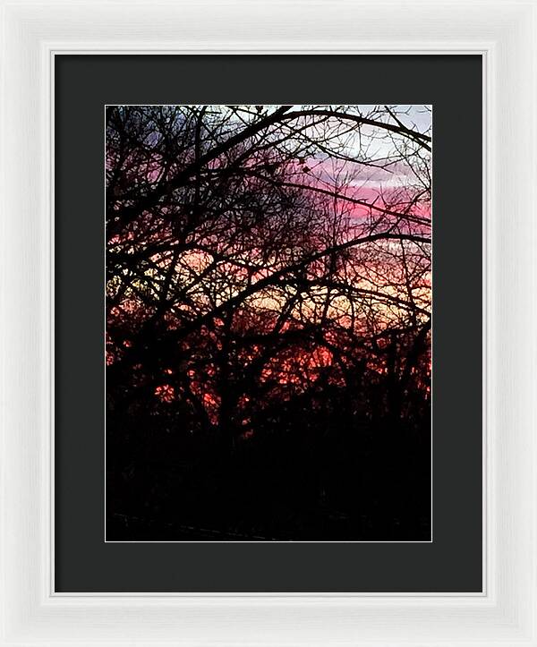 Sunset Through The Trees - Framed Print