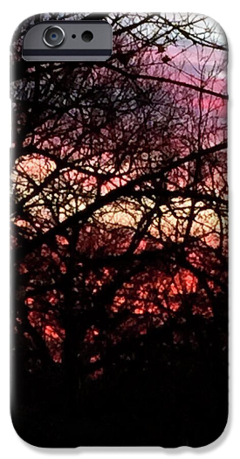 Sunset Through The Trees - Phone Case