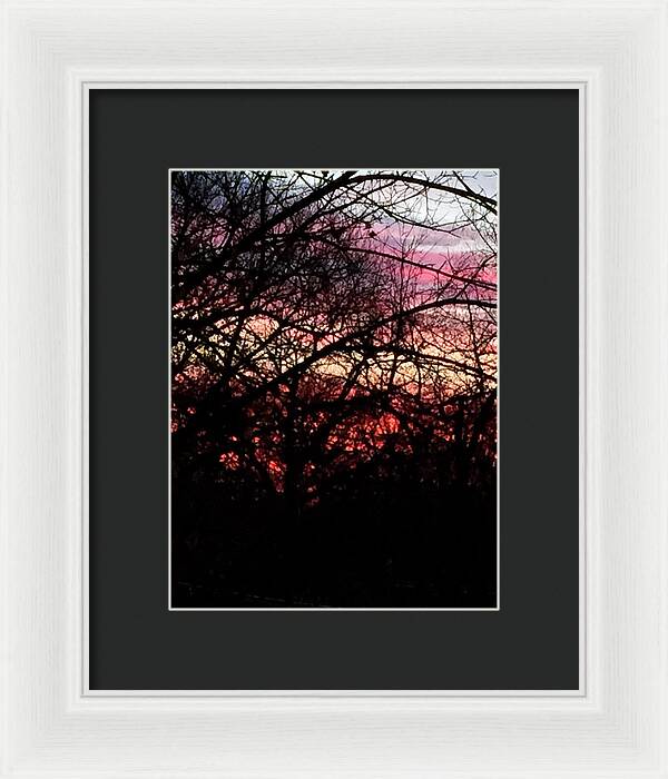 Sunset Through The Trees - Framed Print