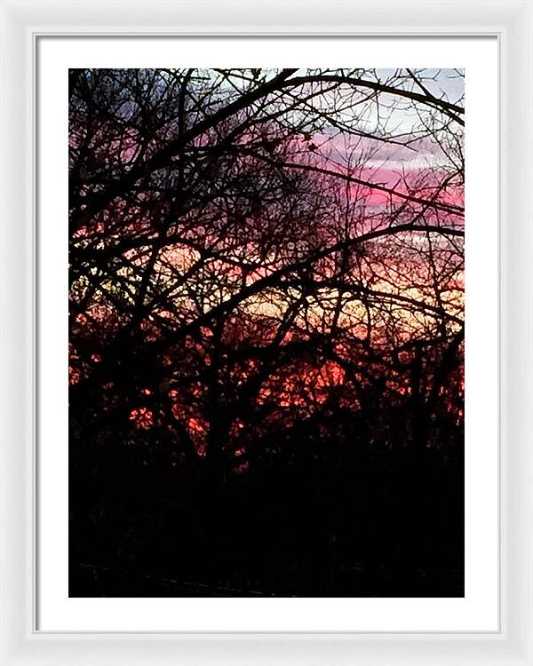 Sunset Through The Trees - Framed Print