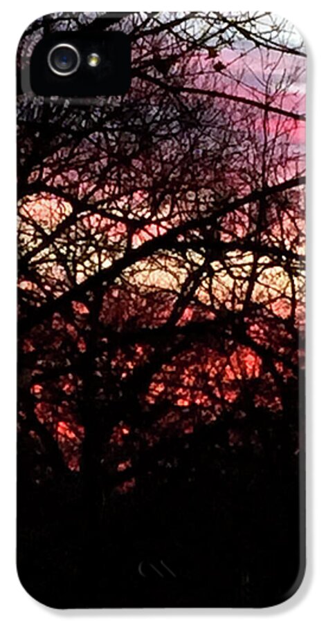 Sunset Through The Trees - Phone Case