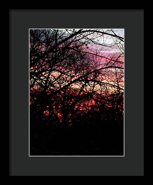 Sunset Through The Trees - Framed Print