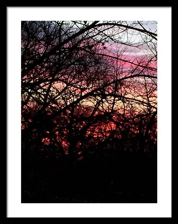 Sunset Through The Trees - Framed Print