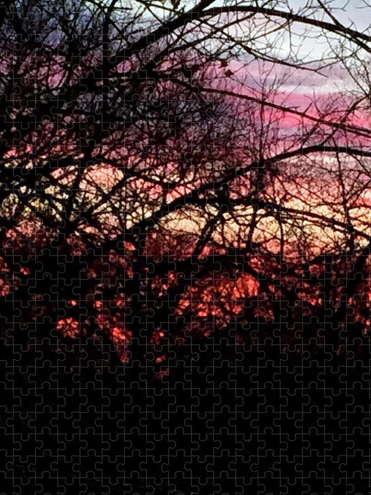 Sunset Through The Trees - Puzzle